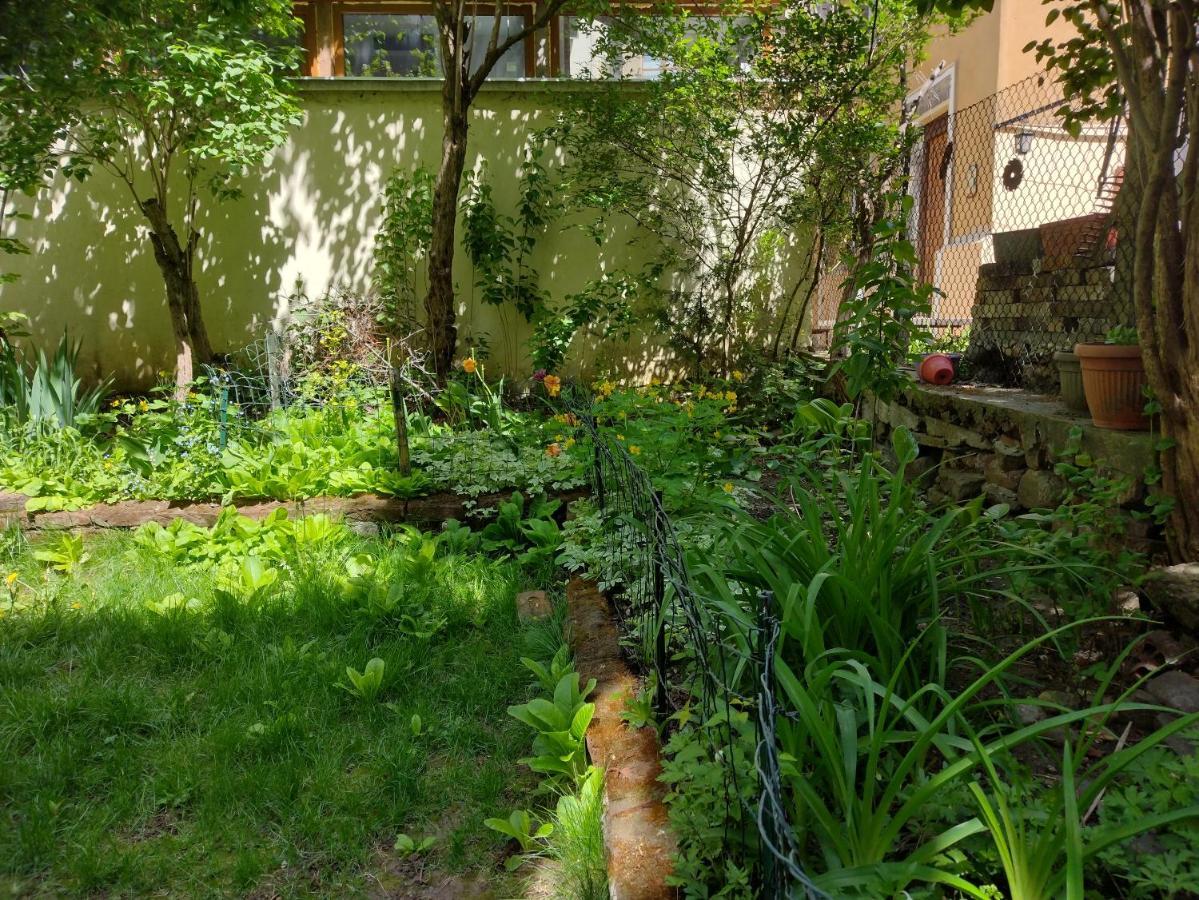 Charming Central Home With Garden Near Parking And Ndk Σόφια Εξωτερικό φωτογραφία