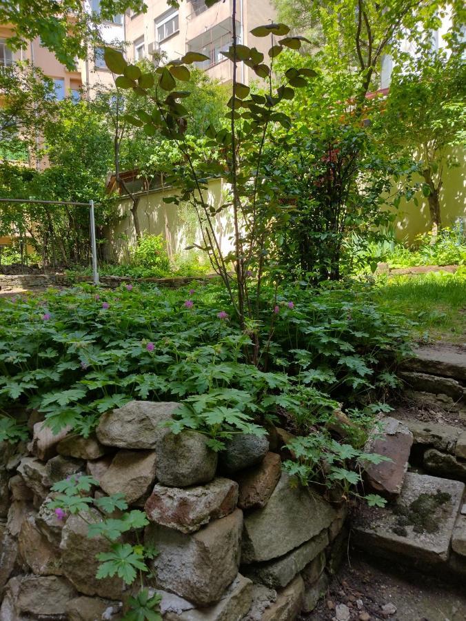Charming Central Home With Garden Near Parking And Ndk Σόφια Εξωτερικό φωτογραφία