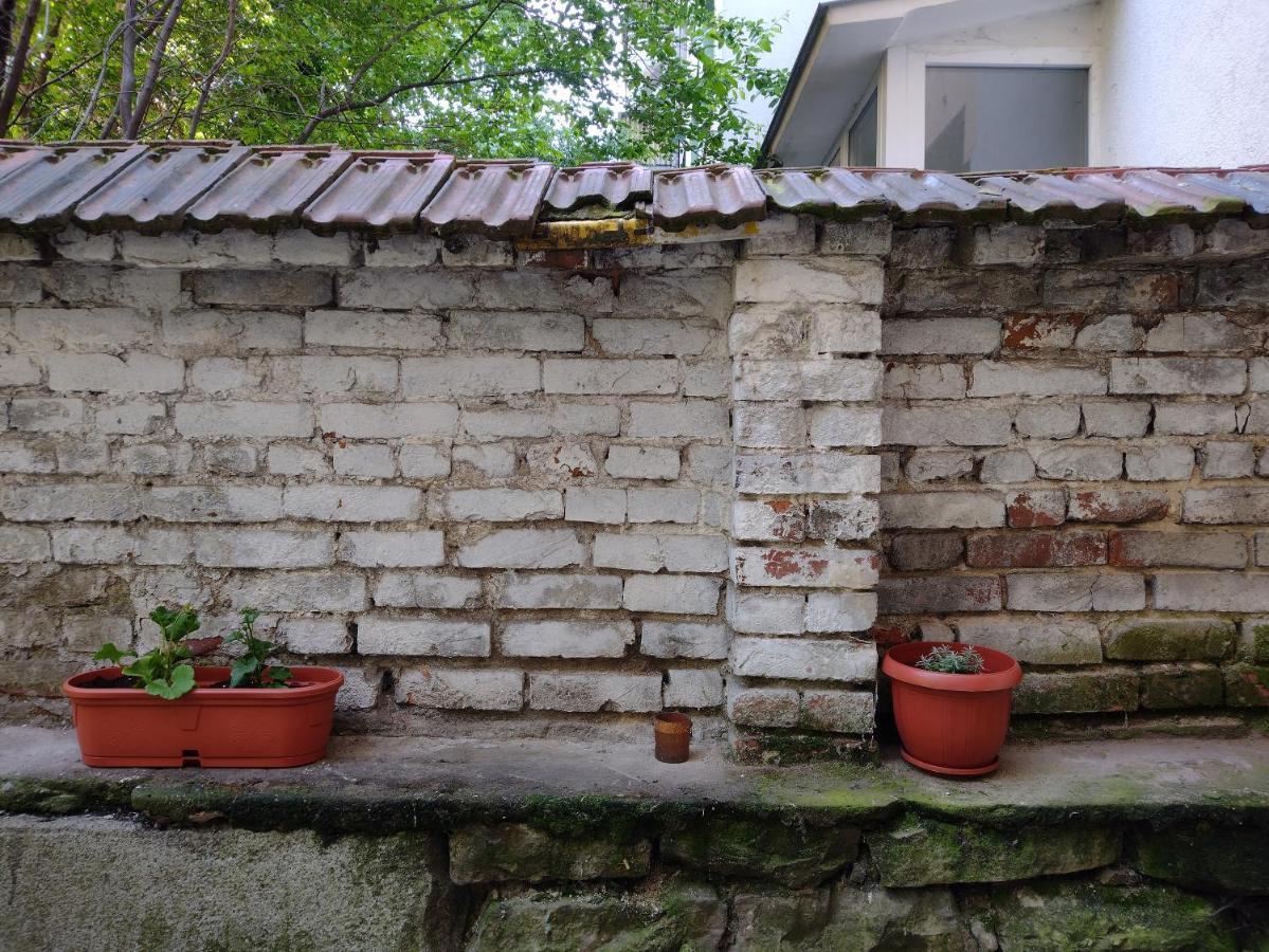 Charming Central Home With Garden Near Parking And Ndk Σόφια Εξωτερικό φωτογραφία