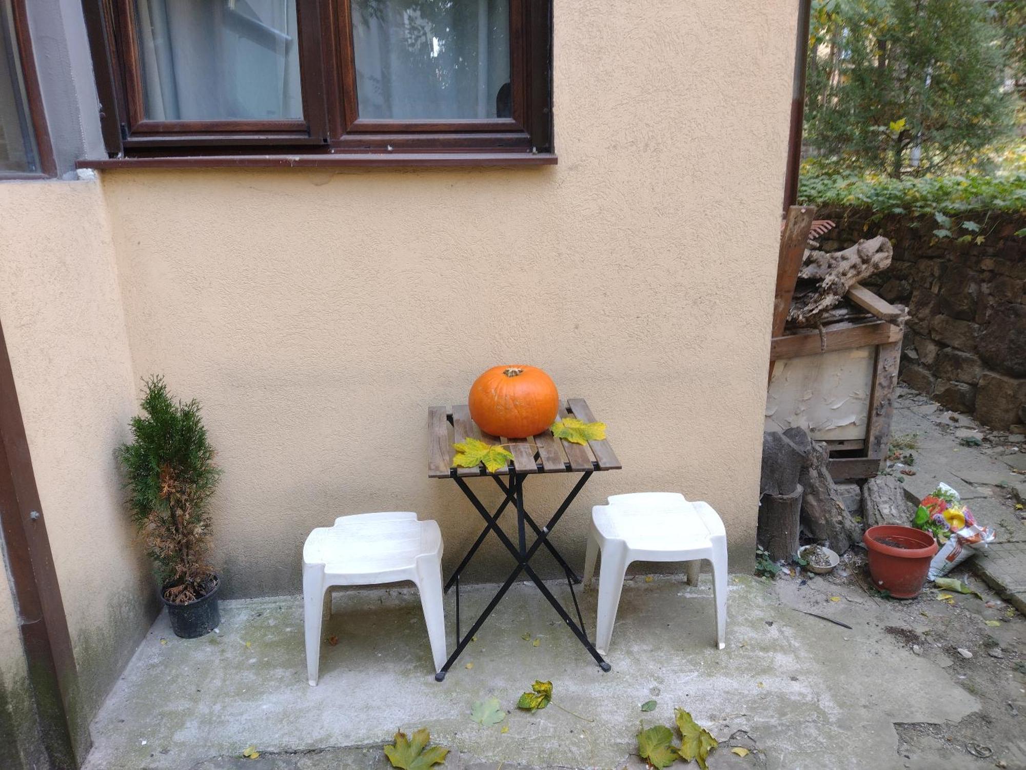 Charming Central Home With Garden Near Parking And Ndk Σόφια Εξωτερικό φωτογραφία