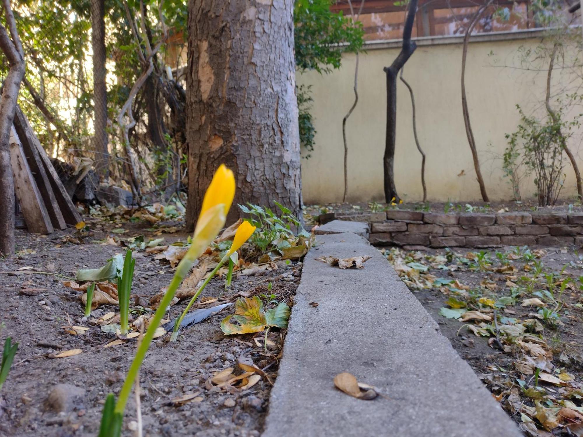 Charming Central Home With Garden Near Parking And Ndk Σόφια Εξωτερικό φωτογραφία