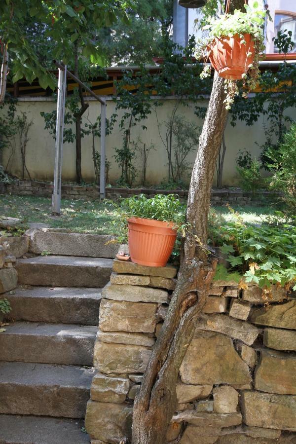 Charming Central Home With Garden Near Parking And Ndk Σόφια Εξωτερικό φωτογραφία
